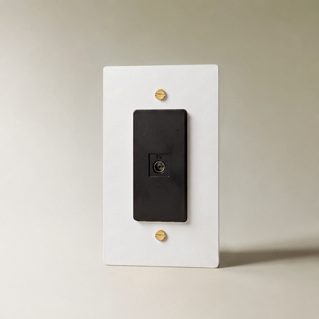 The Brass TV Socket (1-Gang)