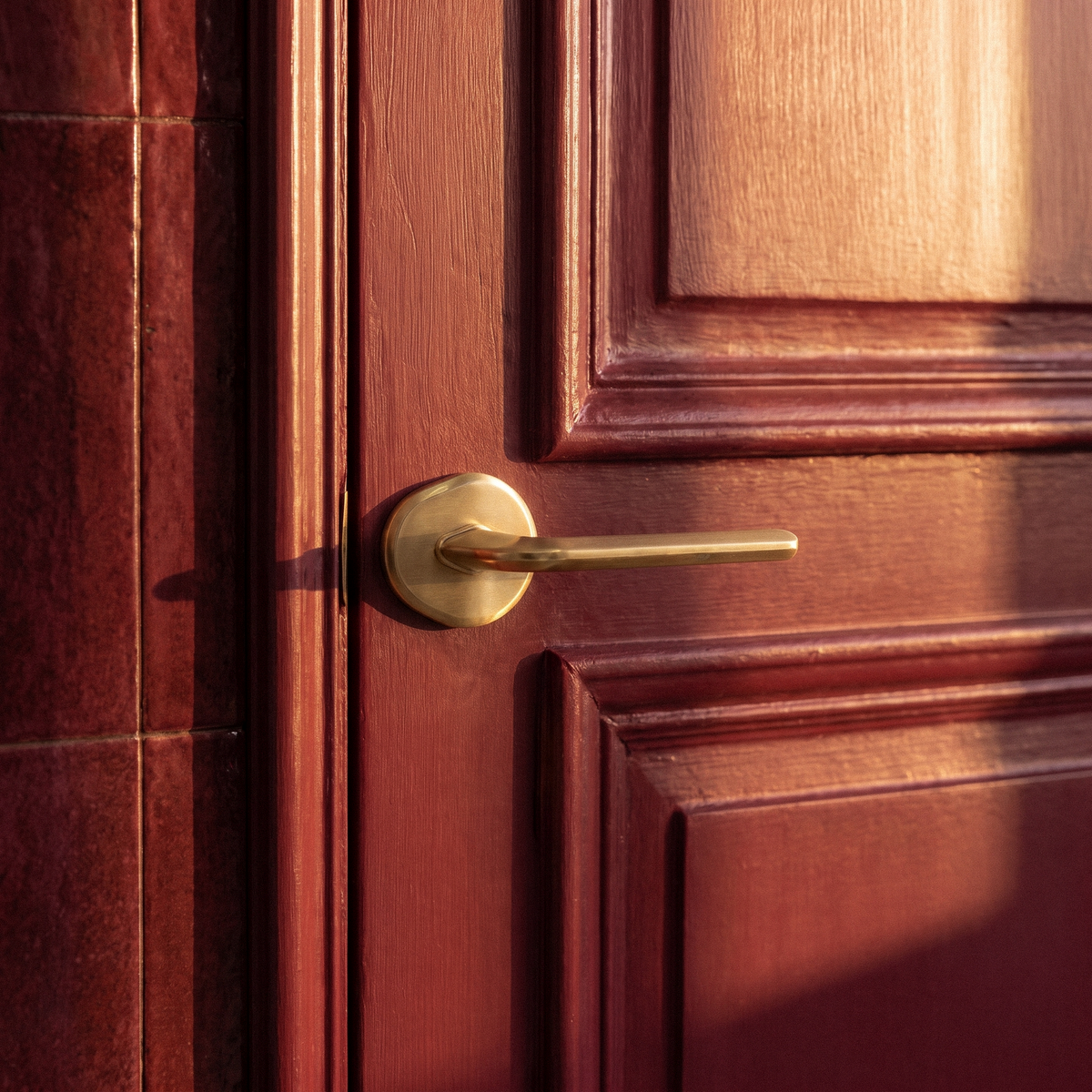 Enzo Door Handle in Satin Brass, on a plain background
