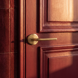 Enzo Door Handle in Satin Brass, on a plain background