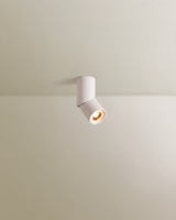 Axel Downlight