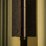 Carvin Door Hinge