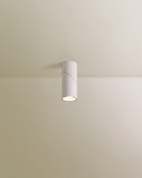 Axel Downlight