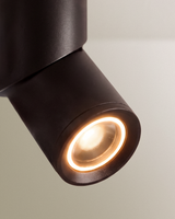 Axel Downlight