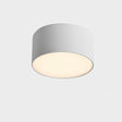 "Aluminum ceiling light fixture with a cylindrical design, flush-mount style, and durable build, offering sleek, modern lighting for residential or commercial interiors."