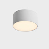 "Aluminum ceiling light fixture with a cylindrical design, flush-mount style, and durable build, offering sleek, modern lighting for residential or commercial interiors."