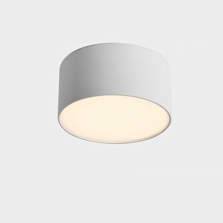 "Aluminum ceiling light fixture with a cylindrical design, flush-mount style, and durable build, offering sleek, modern lighting for residential or commercial interiors."