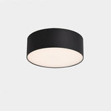 "Minimalist aluminum ceiling light with a cylindrical flush-mount design, providing functional and elegant lighting for various contemporary spaces."