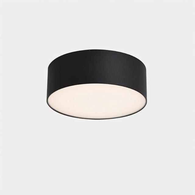 "Minimalist aluminum ceiling light with a cylindrical flush-mount design, providing functional and elegant lighting for various contemporary spaces."