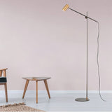 "Sleek steel floor lamp with an adjustable arm in a modern living room setting"