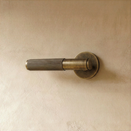 The Brass Door Handle