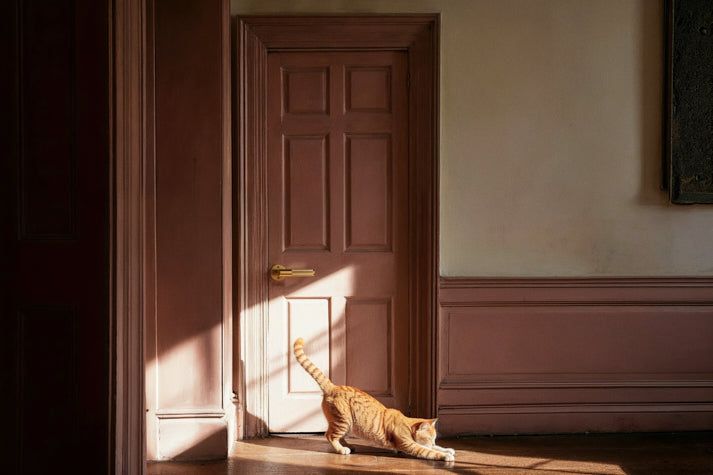 Brass That Gets Better