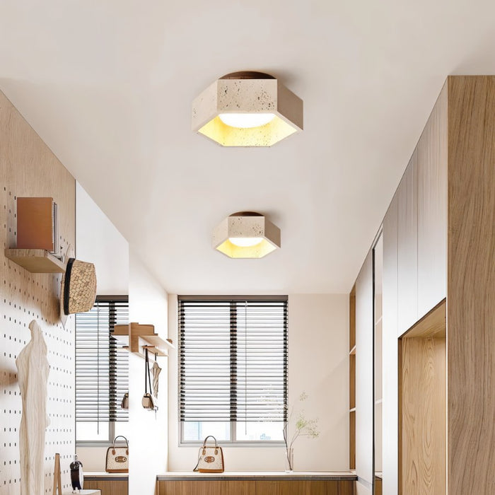 Brutas Ceiling Light