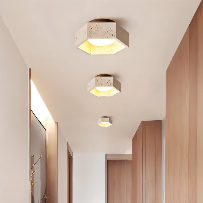 Brutas Ceiling Light