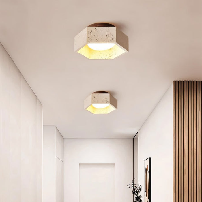 Brutas Ceiling Light