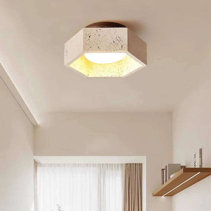 Brutas Ceiling Light