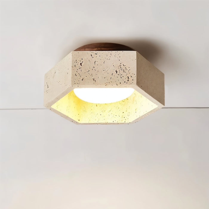 Brutas Ceiling Light