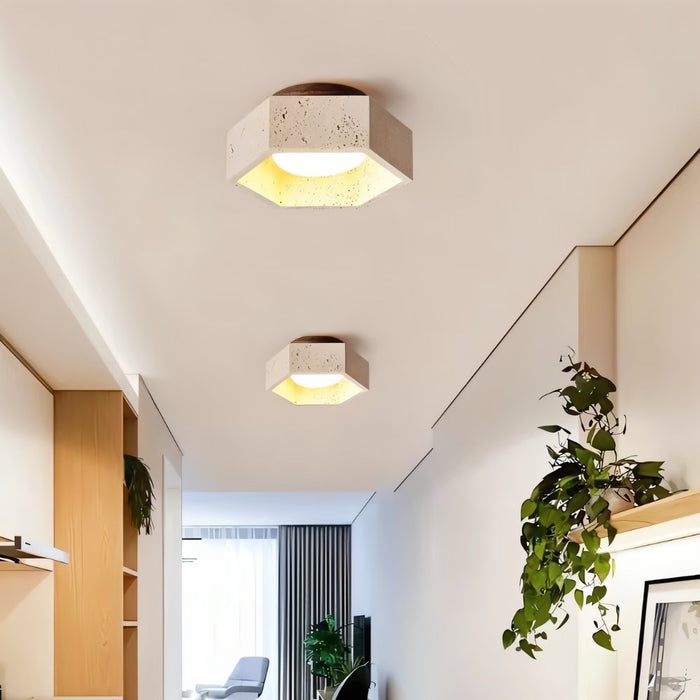 Brutas Ceiling Light