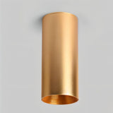 "Golden finish ceiling light made from durable aluminum, ideal for stylish lighting in modern living areas or kitchens."