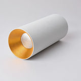 "Close-up view of a white ceiling light with a golden interior, designed to offer focused, ambient lighting for modern spaces."