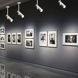 "Minimalist aluminum ceiling lights highlighting artwork in an art gallery with directional illumination"