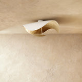 Foglia Ceiling Wall Lamp