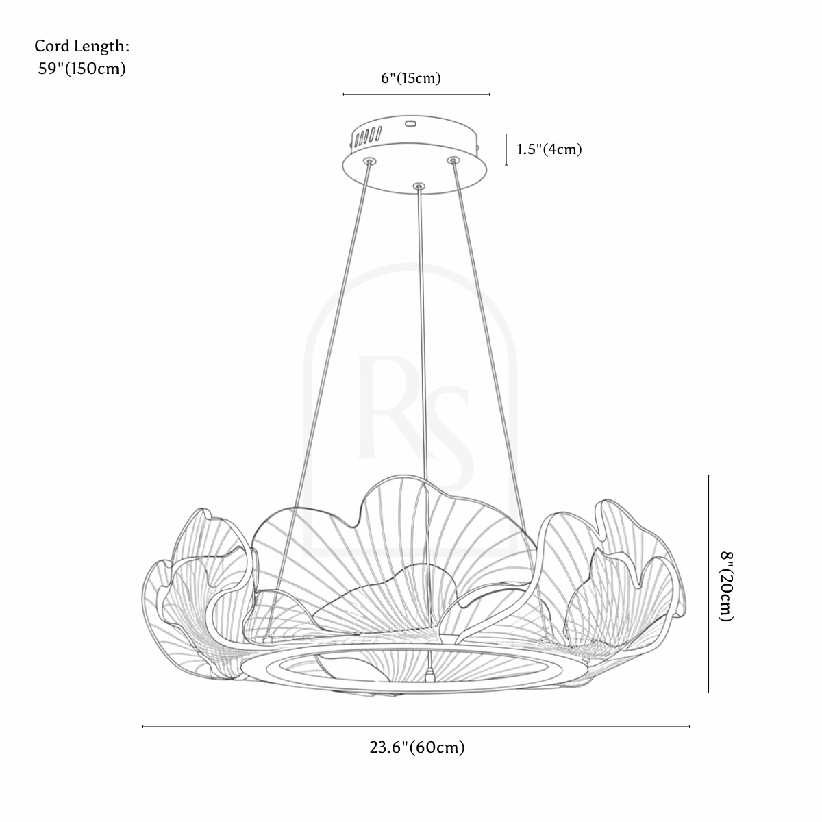 Araña Tajía line drawing 1