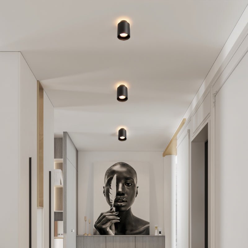"Black ceiling lights installed in a contemporary hallway with artistic decor, sleek cylindrical design."