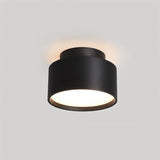 "Closeup view of a black ceiling light, aluminum drum-shaped design, soft ambient lighting."