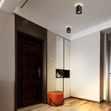 "Black aluminum ceiling lights enhancing a modern entryway, minimalist and functional lighting fixture."