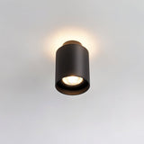 "Tubular black ceiling light with spotlight function, aluminum body, modern minimalist design."