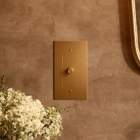 Light-Switches-Dimmer-Switch