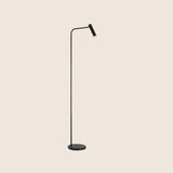 "Sleek black floor lamp with an adjustable aluminum head and steel base"