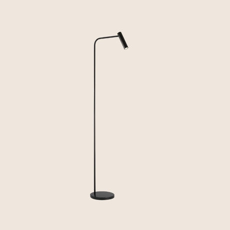 "Sleek black floor lamp with an adjustable aluminum head and steel base"