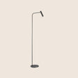 "Contemporary grey floor lamp with a slim aluminum body and adjustable lighting"