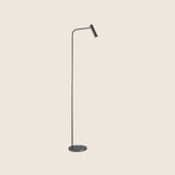 "Contemporary grey floor lamp with a slim aluminum body and adjustable lighting"