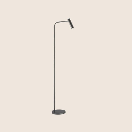 "Contemporary grey floor lamp with a slim aluminum body and adjustable lighting"