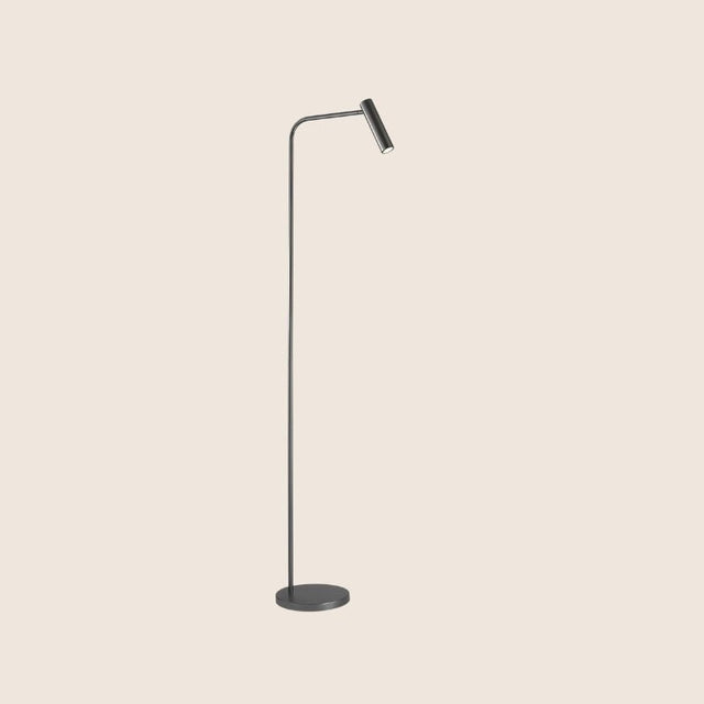 "Contemporary grey floor lamp with a slim aluminum body and adjustable lighting"