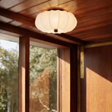 Nagal Ceiling Light