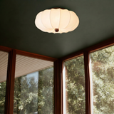 Nagal Ceiling Light