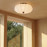 Nagal Ceiling Light