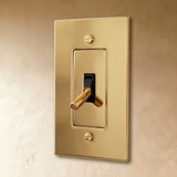 The Polished Brass Toggle Switch