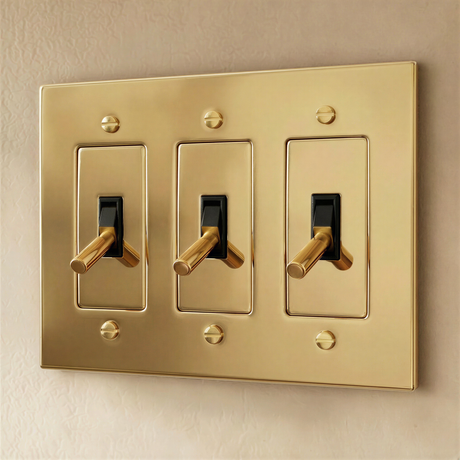 The Polished Brass Toggle Switch