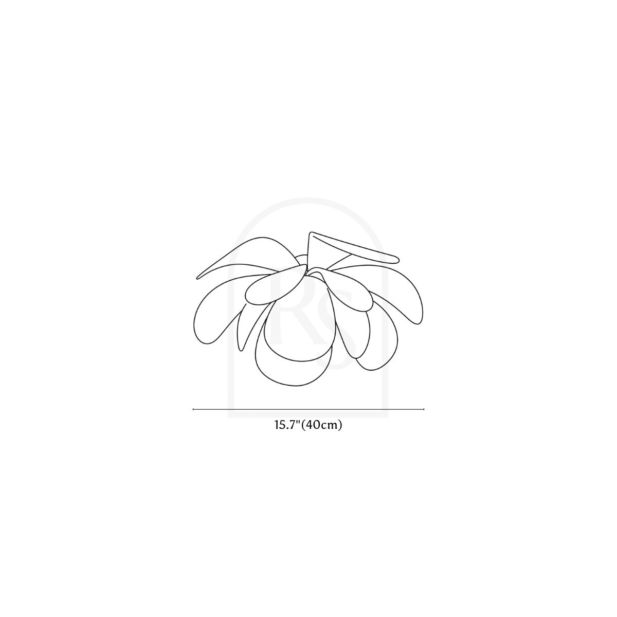 Pankh Ceiling Light line drawing 1