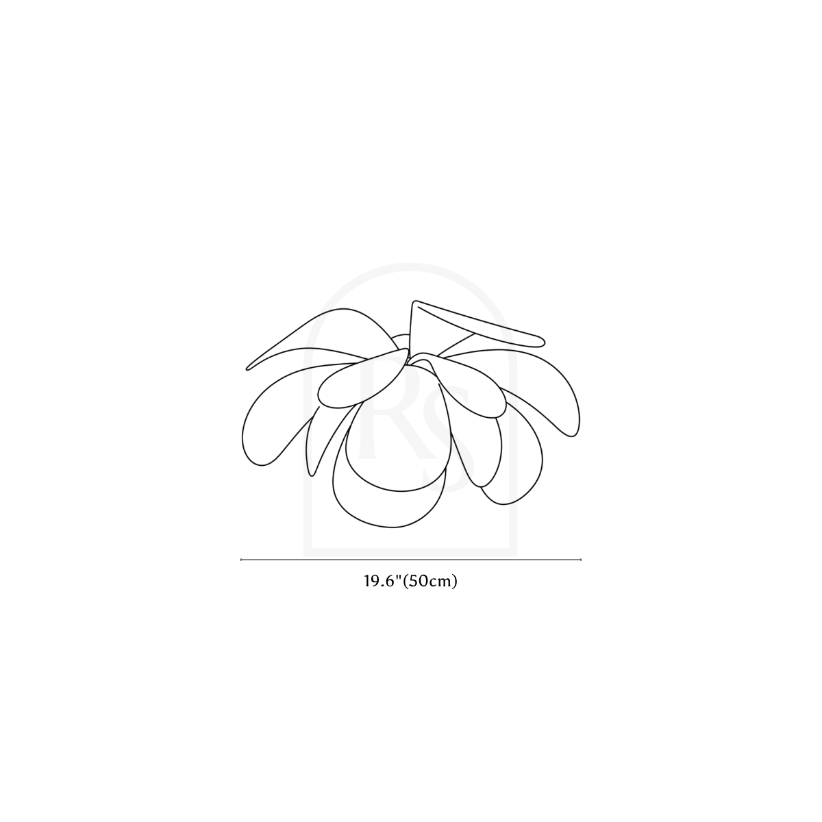Pankh Ceiling Light line drawing 2