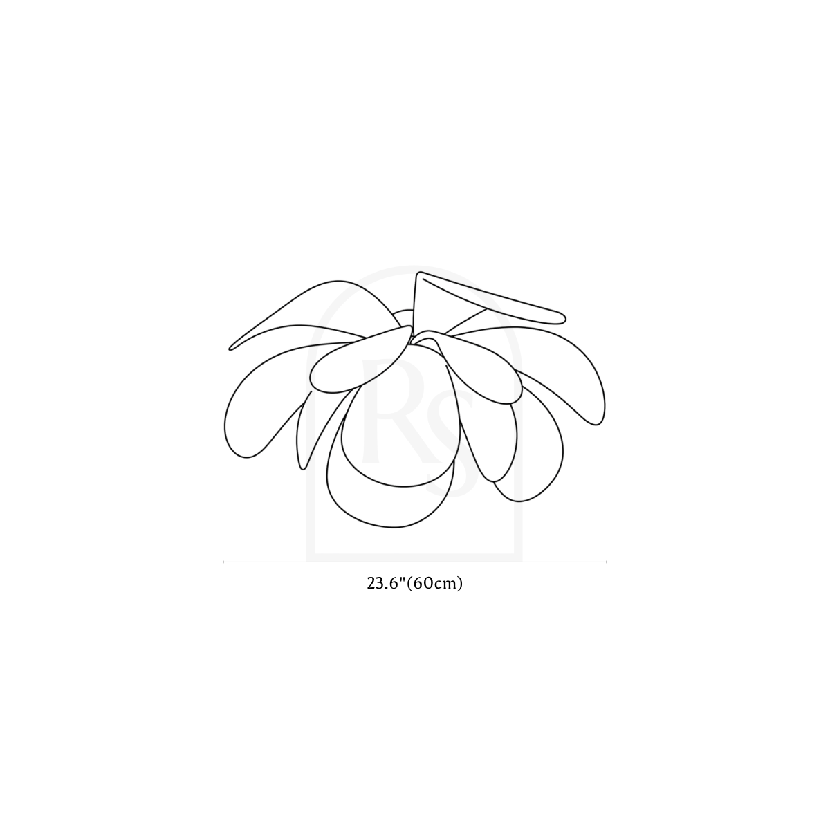 Pankh Ceiling Light line drawing 3