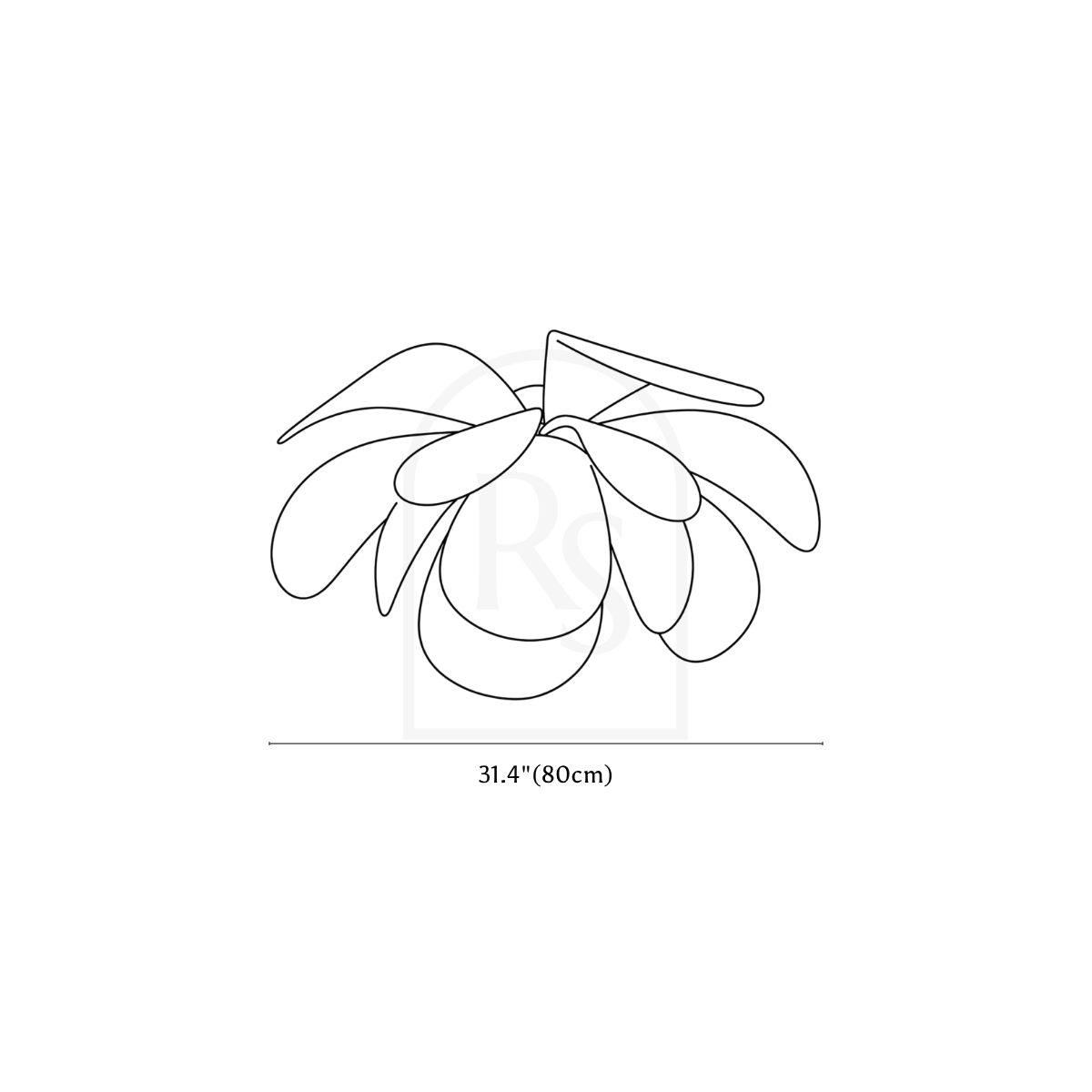 Pankh Ceiling Light line drawing 4