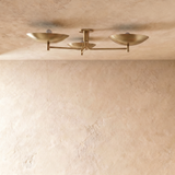 Basin Ceiling Light