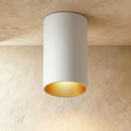 Eilin Ceiling Light