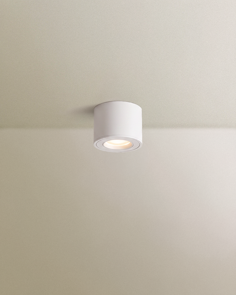 Jannis Downlight