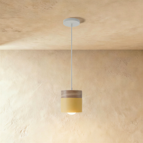 Laetus Pendant Light